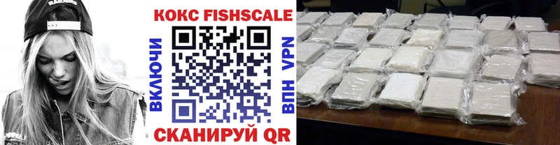 Cocaine FishScale  Нерчинск 