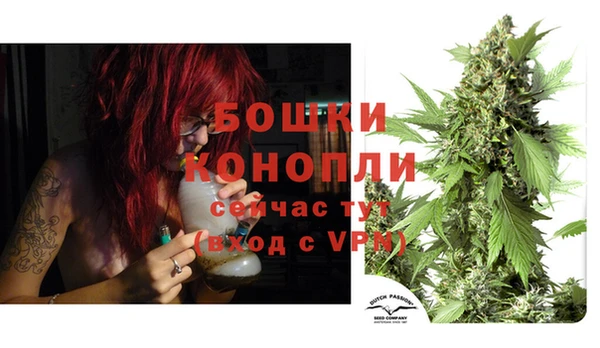 кокс Бородино