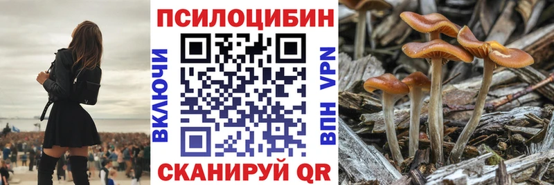 ОМГ ОМГ зеркало  Нерчинск  Галлюциногенные грибы Magic Shrooms 